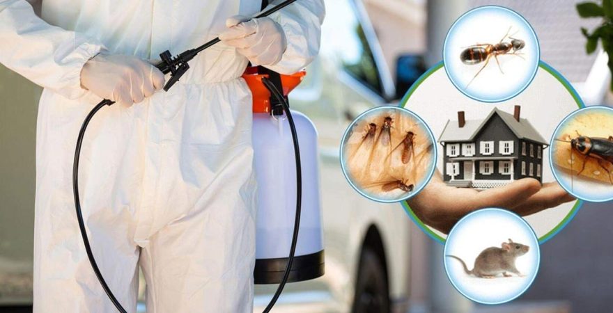 Ulubey Böcek İlaçlama