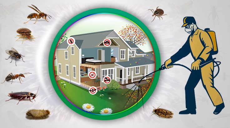 Ulubey Böcek İlaçlama