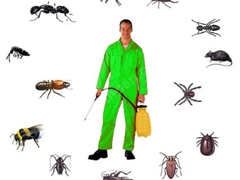 Ulubey Böcek İlaçlama